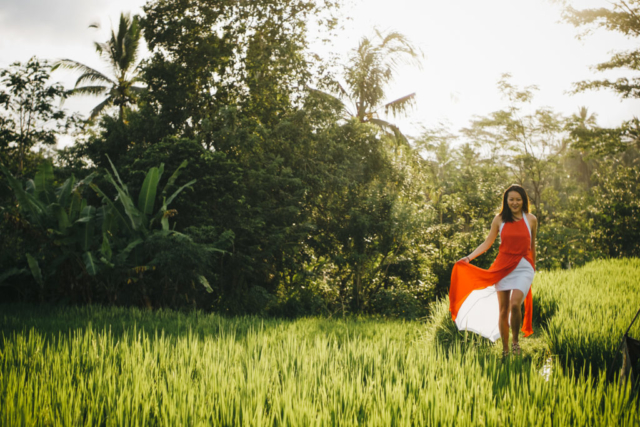 Ubud rice paddies