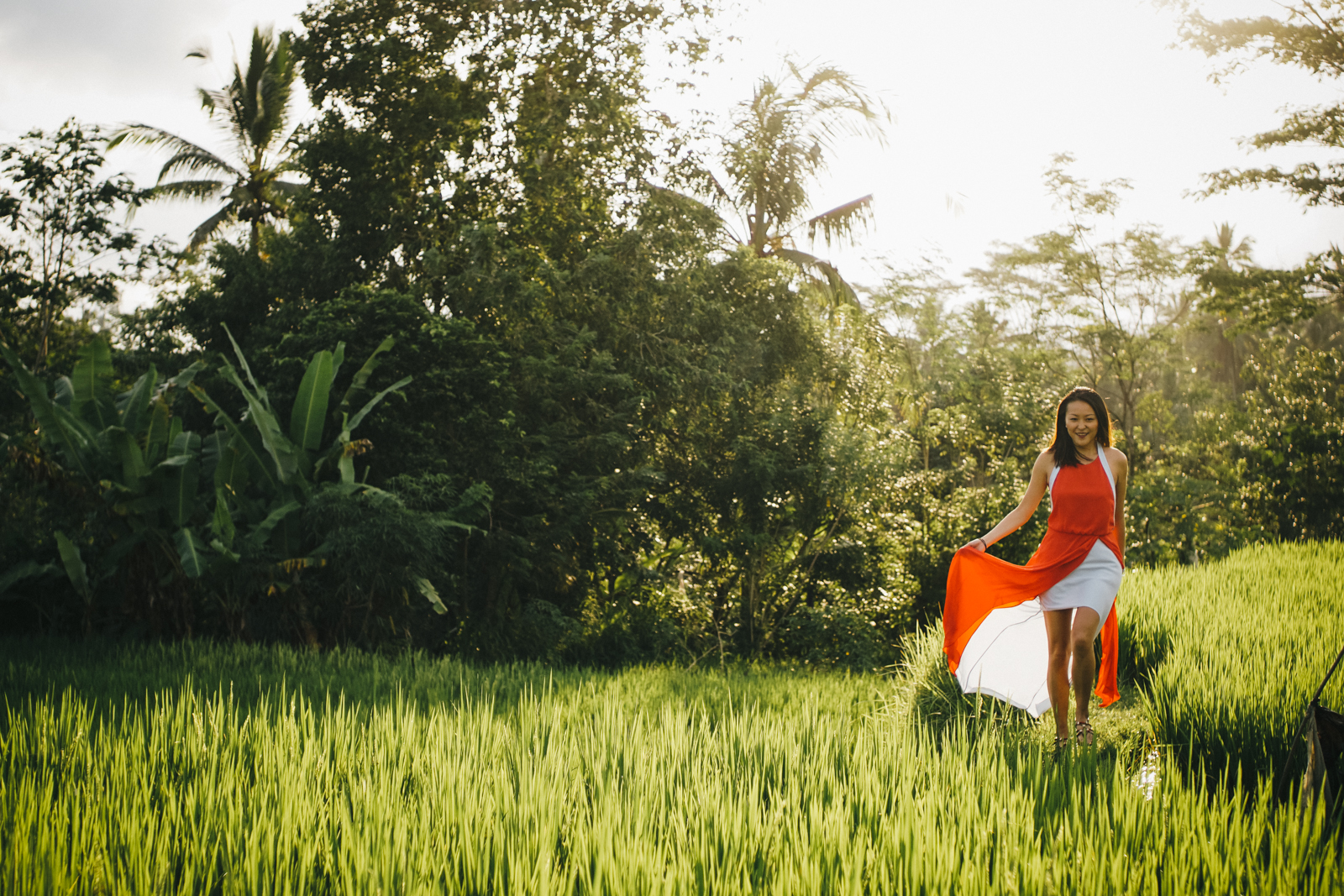 Ubud rice paddies