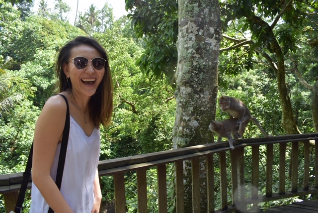 Monkeys of Monkey Forest