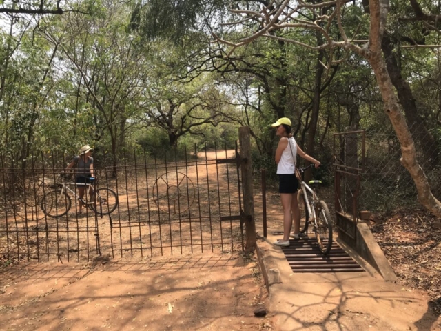 Biking around Auroville