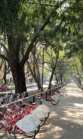 Shared bikes Mexico City