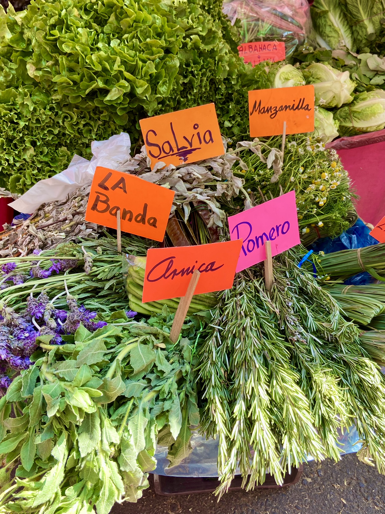 Fresh herbs at the market