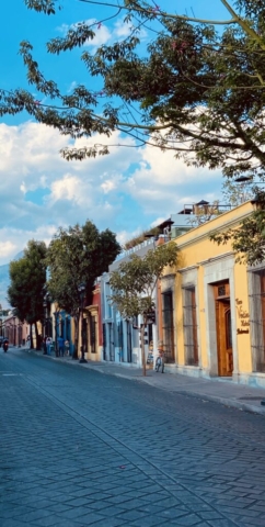 Colourful houses in Oaxaca