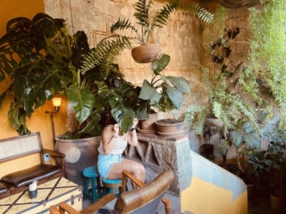 Bar with plants