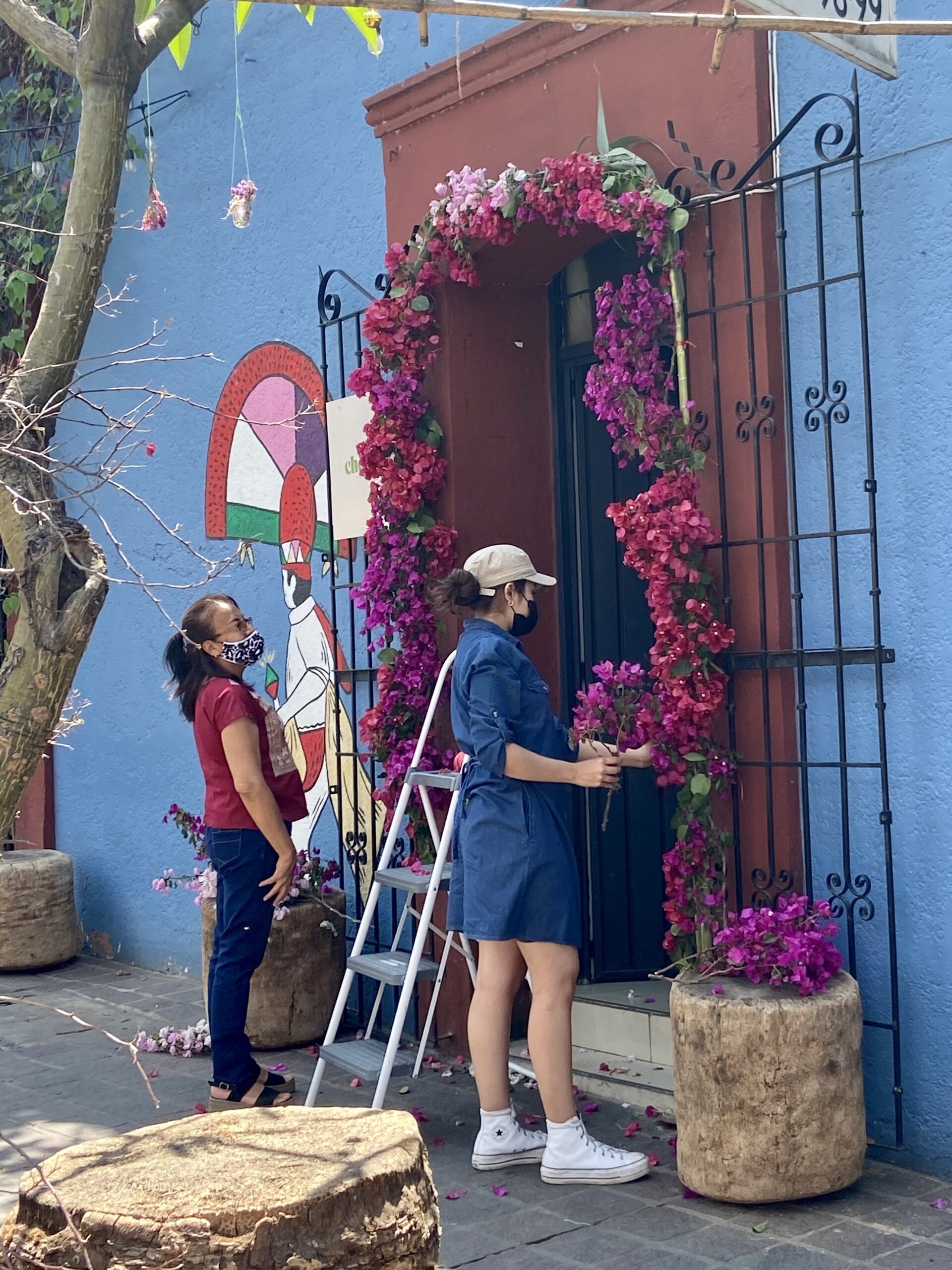 Decorating archway with bougainvilla