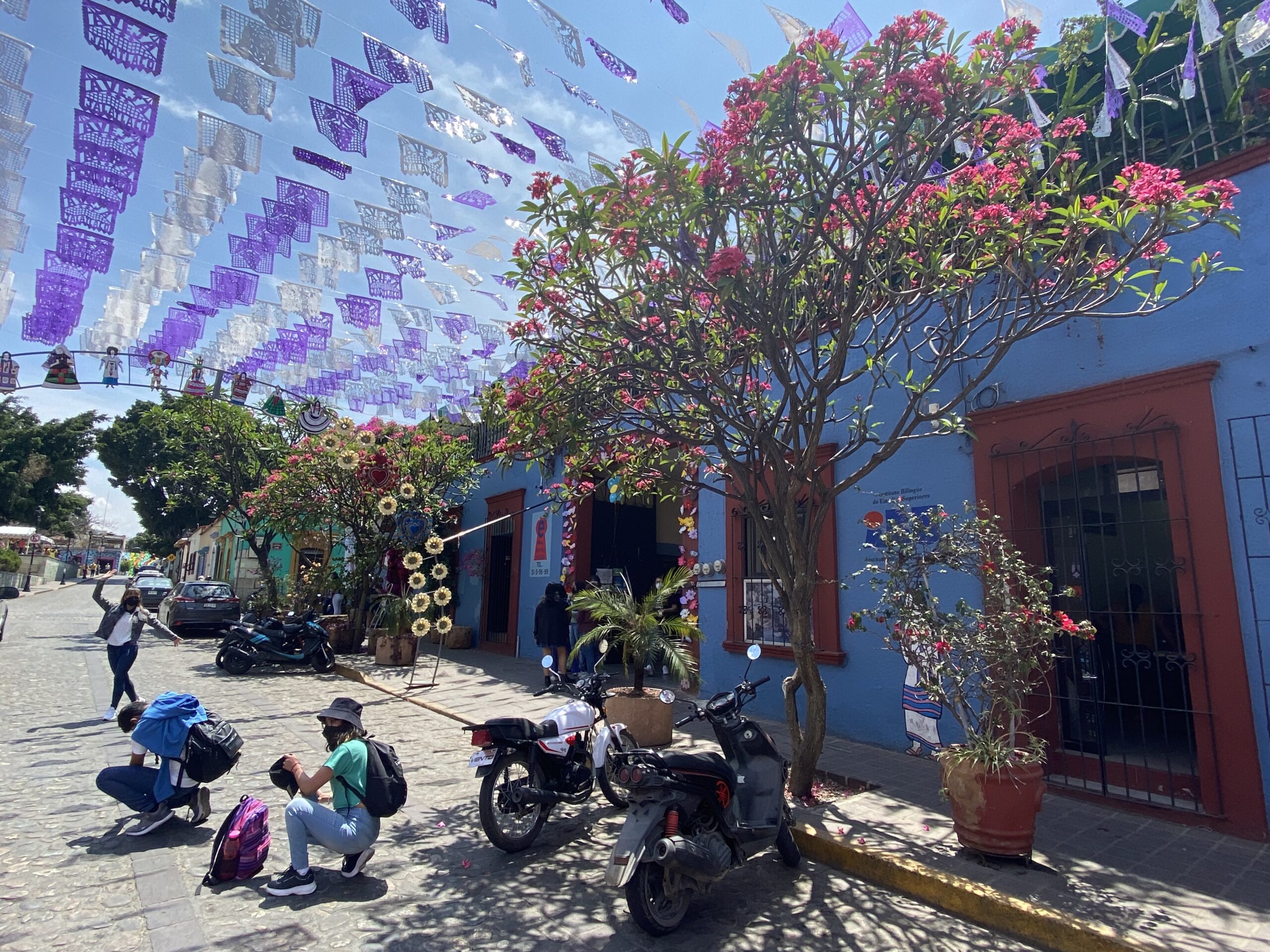 Colour streets of Oaxaca